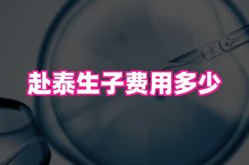 北京助孕网 1