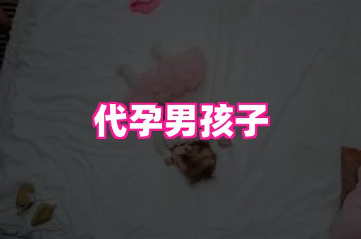 北京助孕网 3