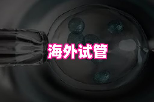 北京助孕网 4
